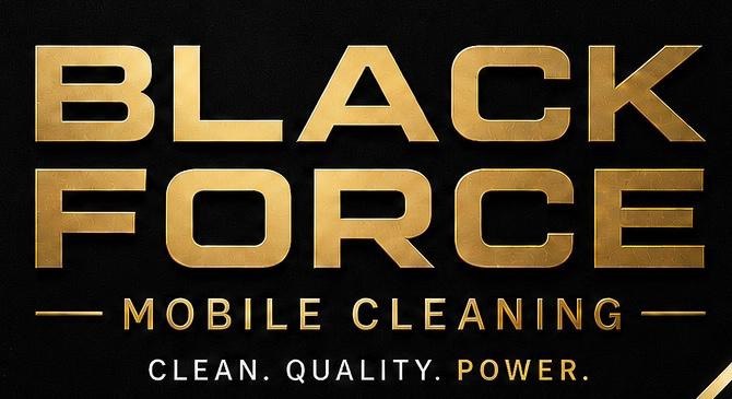 Black Force Cleaning